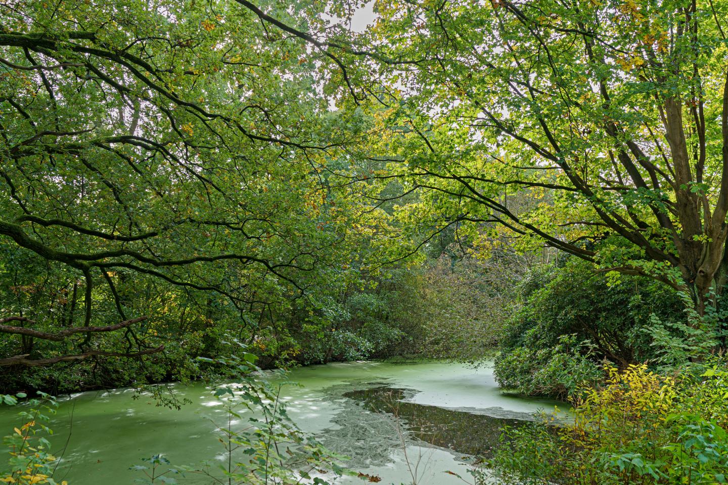 foto van het Stadspark