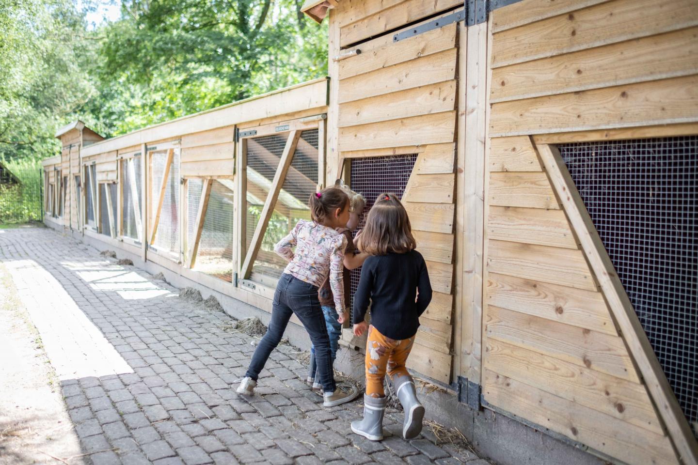 foto van kinderen bij de hokken