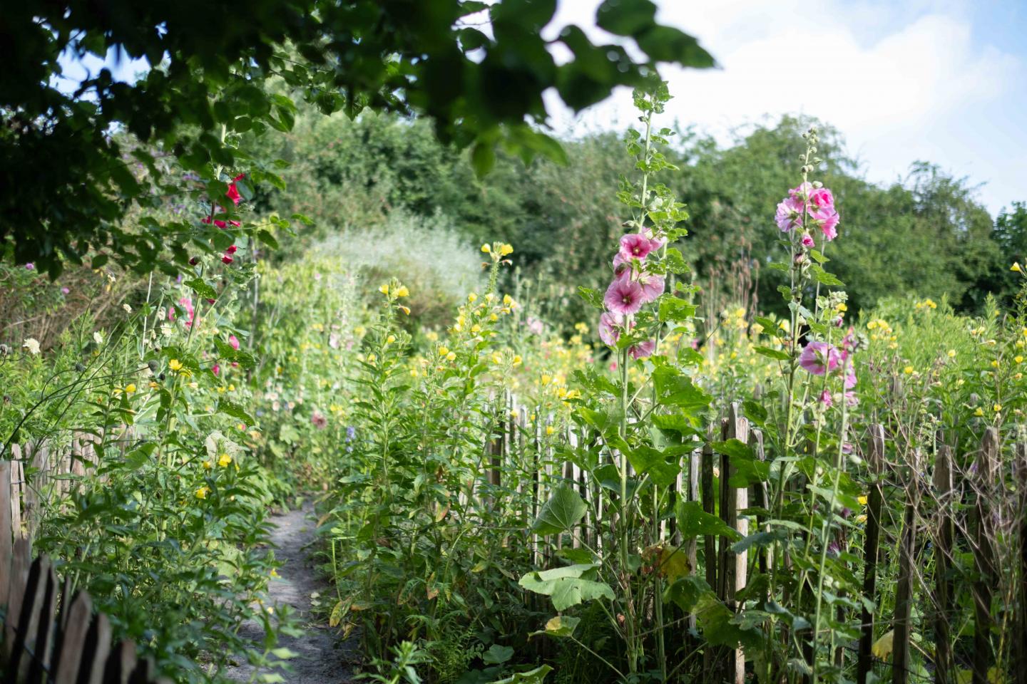 foto van het bloemenlabyrinth