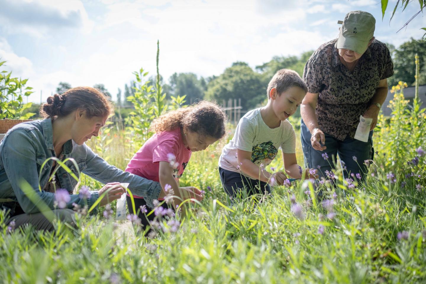 foto van kinderen op de schooltuin
