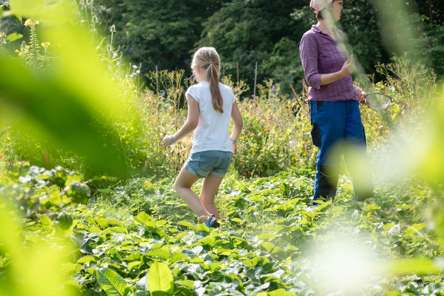 foto van kind op de schooltuin