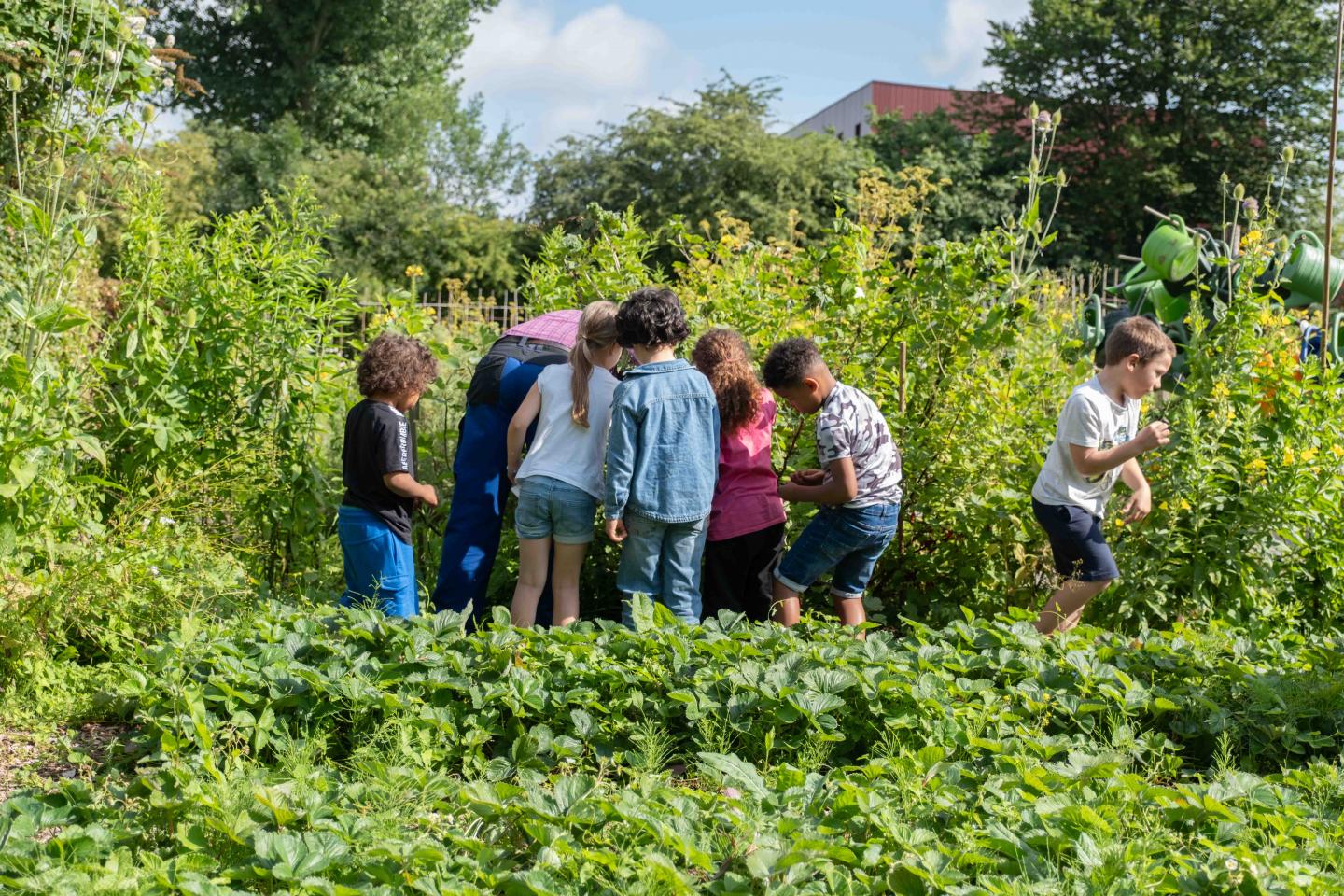 foto van kinderen op de schooltuin