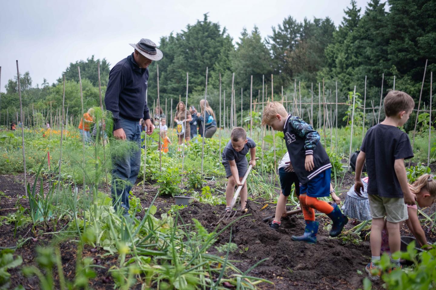 foto van kinderen op de schooltuin