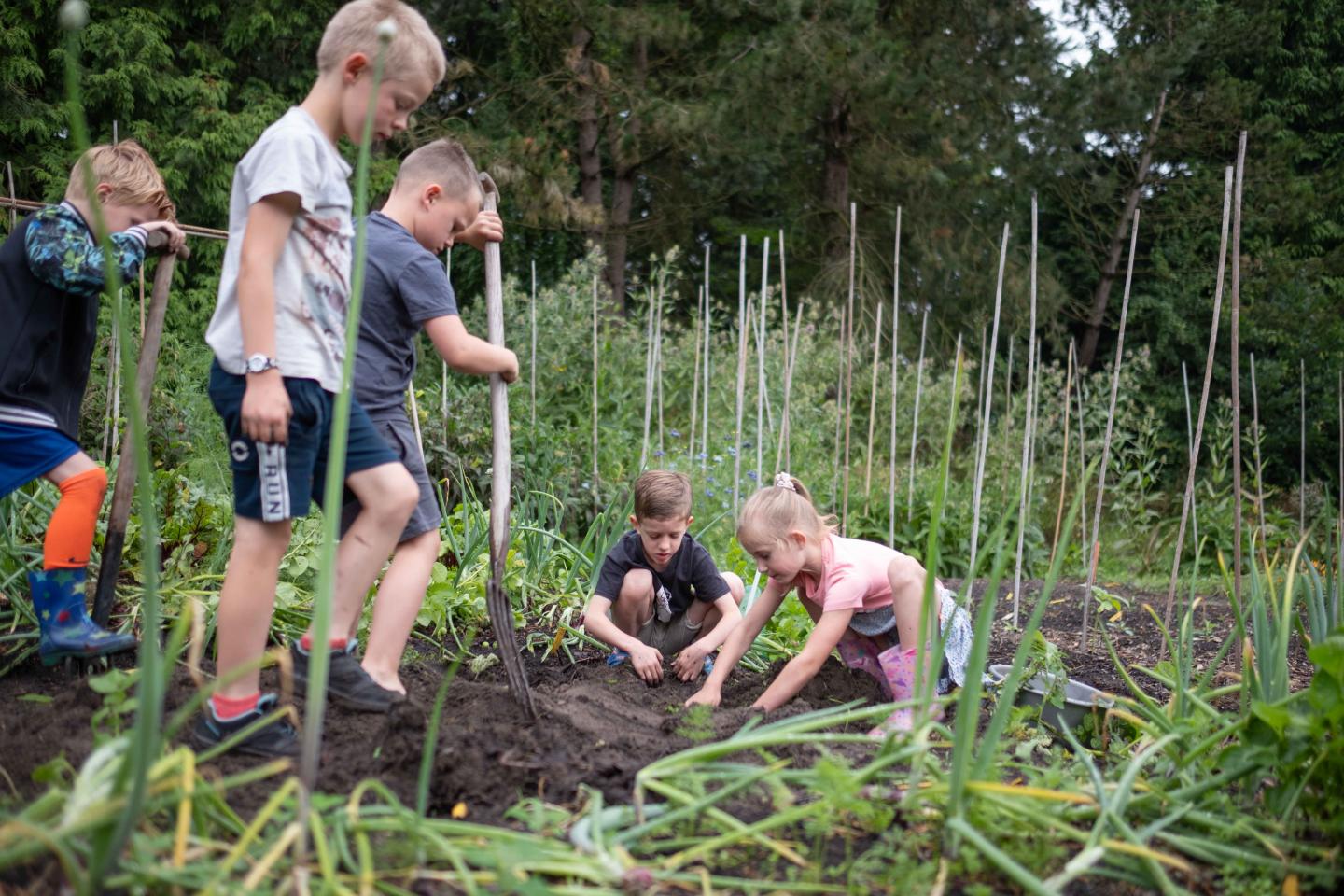 foto van kinderen op de schooltuin
