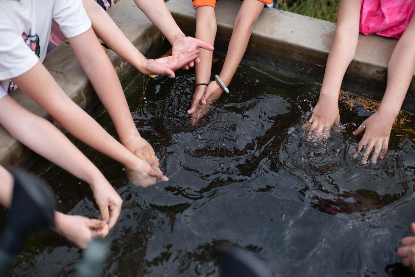 foto van handen wassen in de put