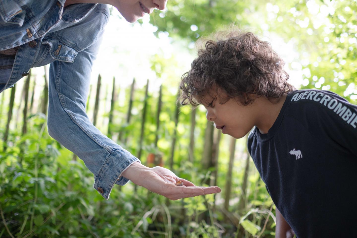 foto van kind op de schooltuin