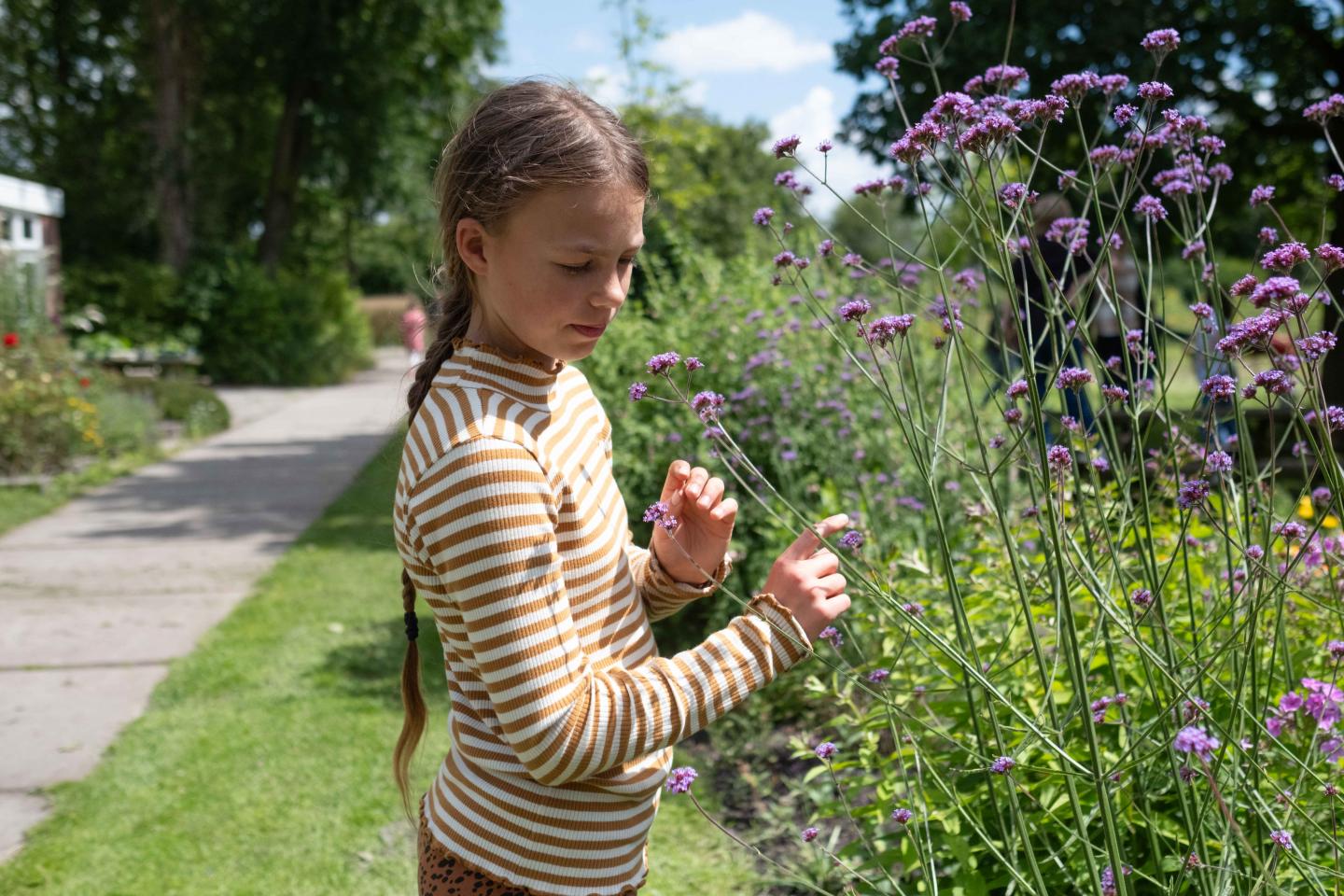 foto van een kind tussen de verbena