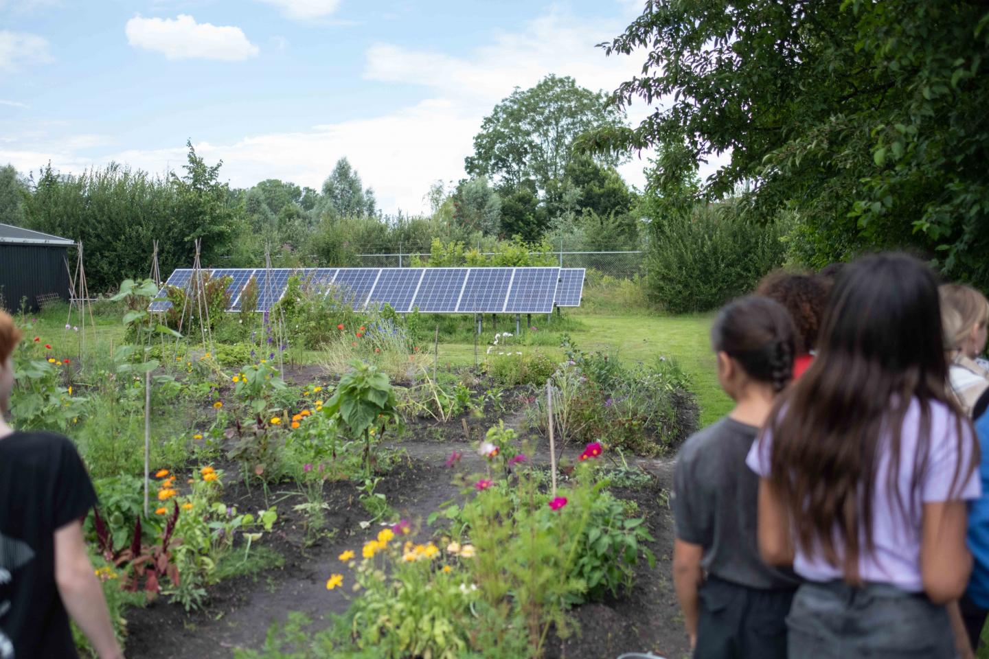 foto van zonnepanelen op de schooltuin