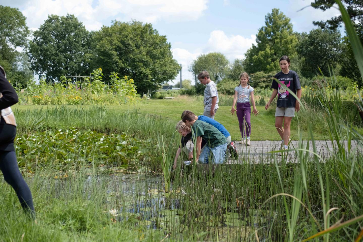 foto van kinderen bij de vijver