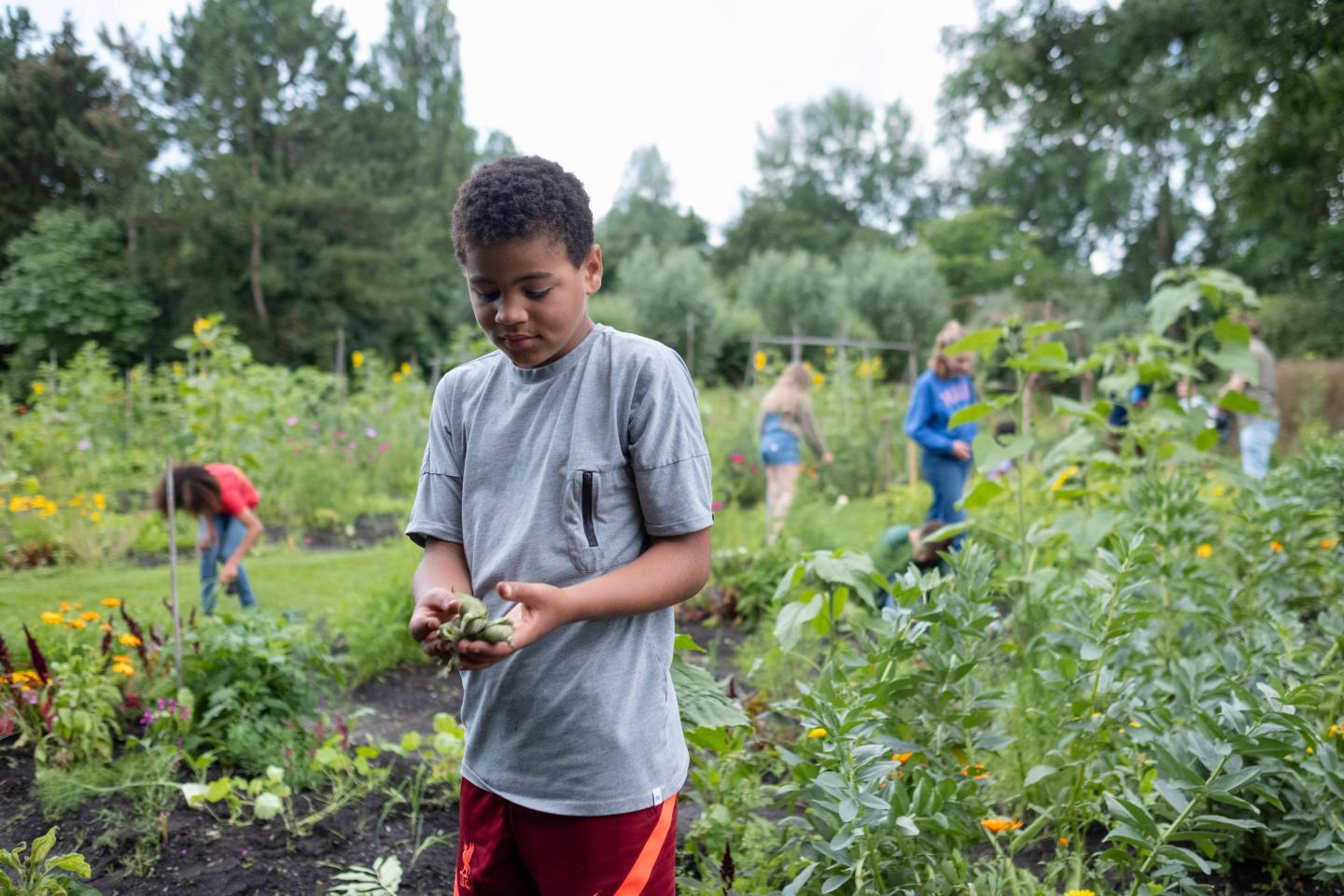 foto van een kind met oogst