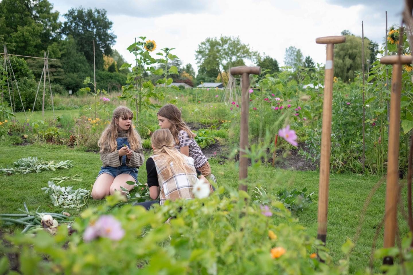 foto van kinderen op de schooltuin