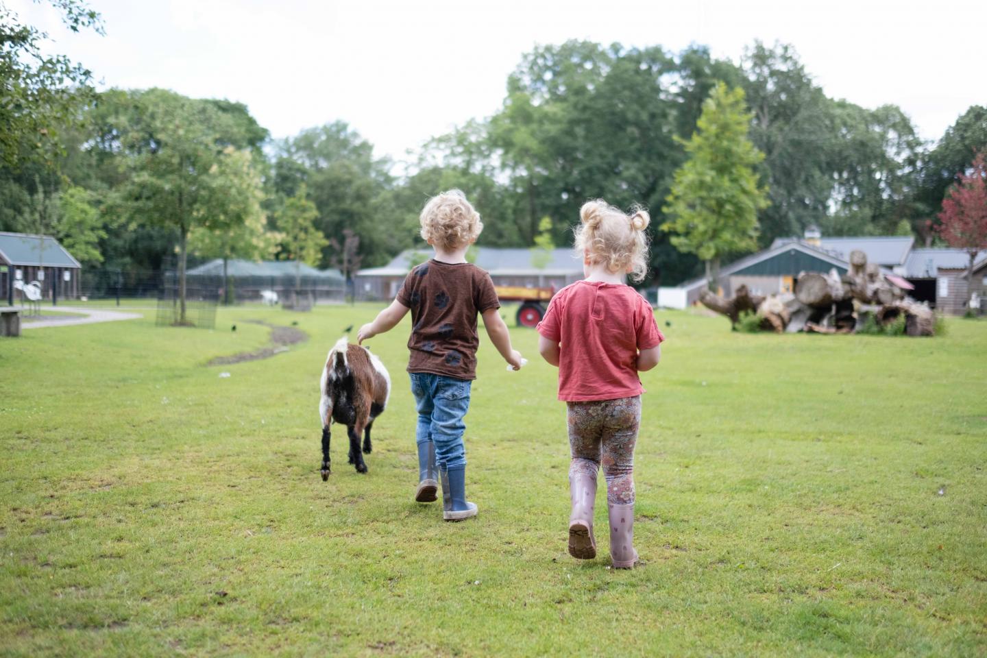 foto van kinderen op de kinderboerderij