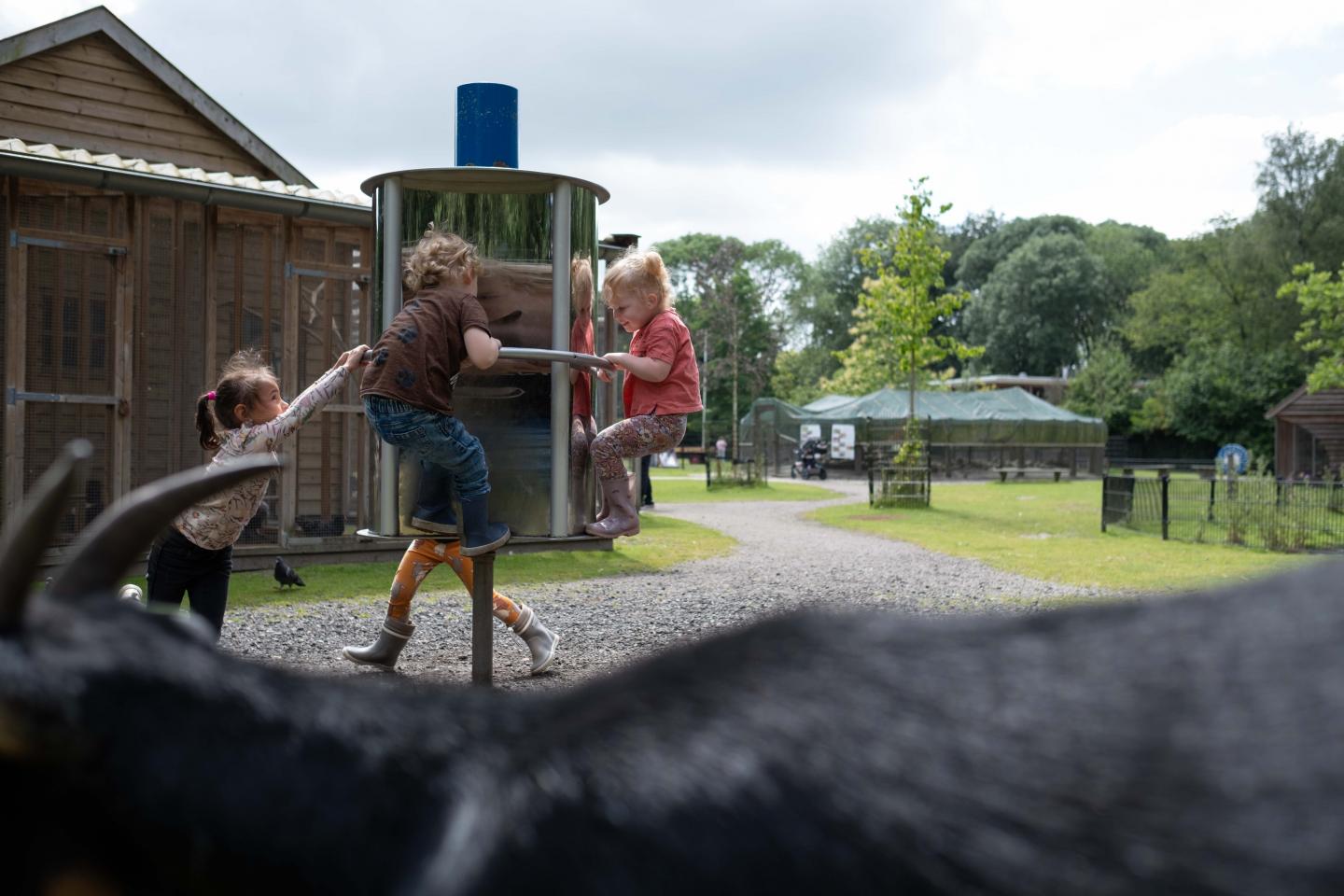 foto van spelende kinderen op de kinderboerderij