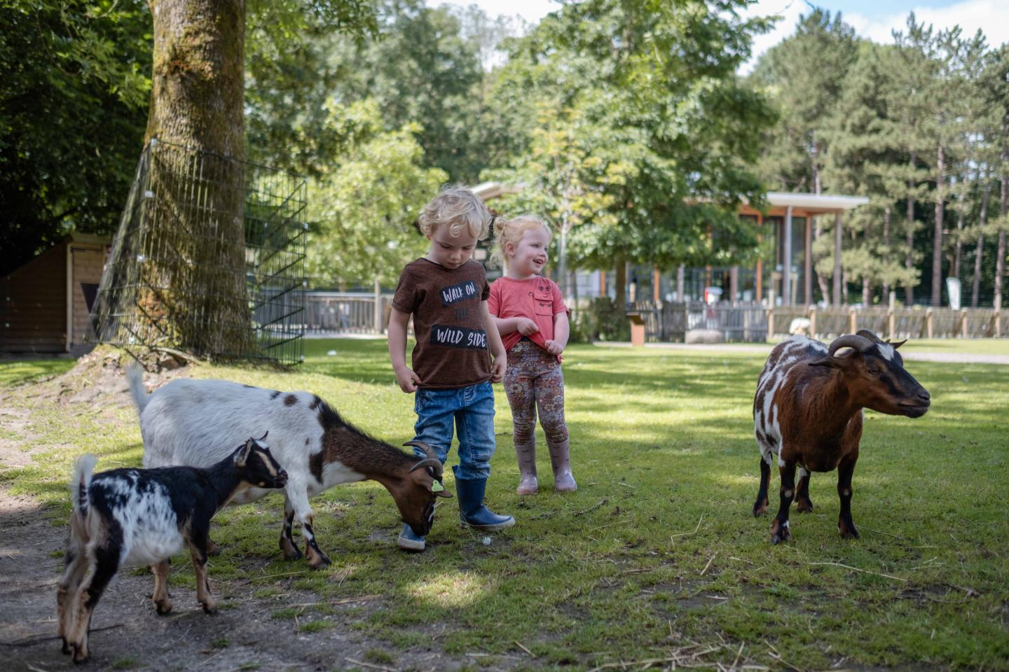 foto van kinderen en geitjes