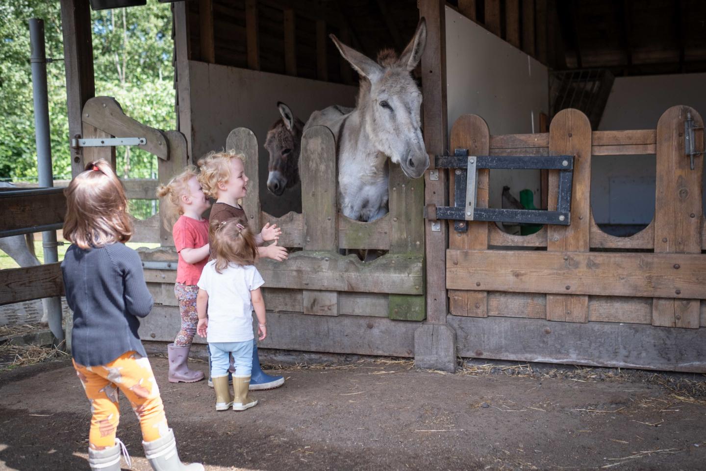 foto van kinderen en ezel