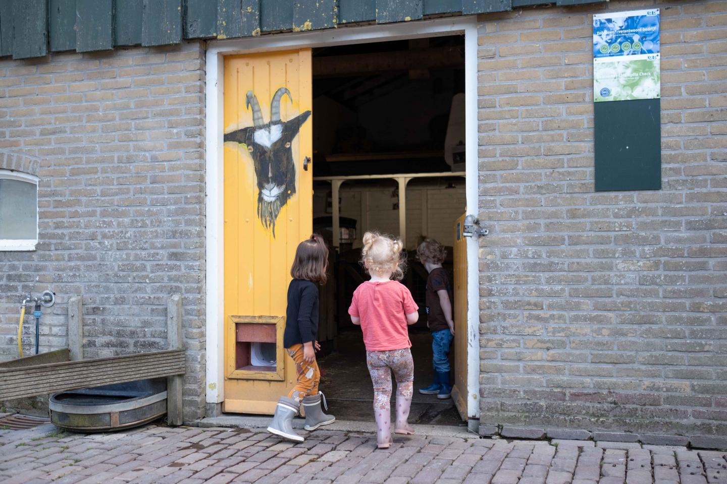 foto van kinderen die naar de stal lopen
