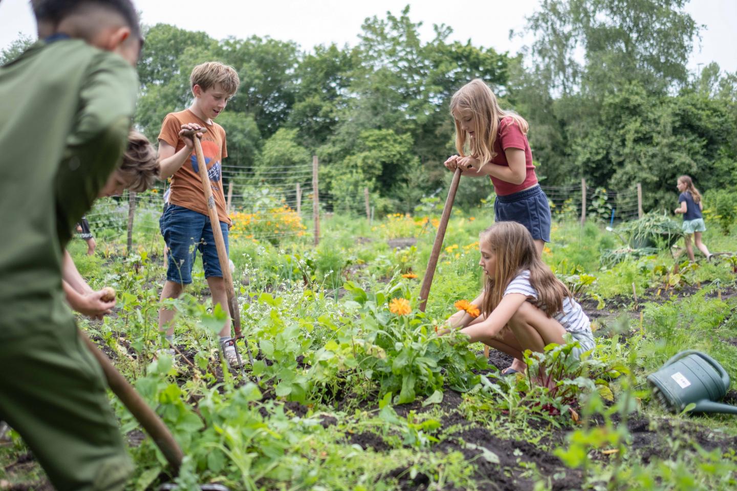 foto van kinderen op de schooltuin
