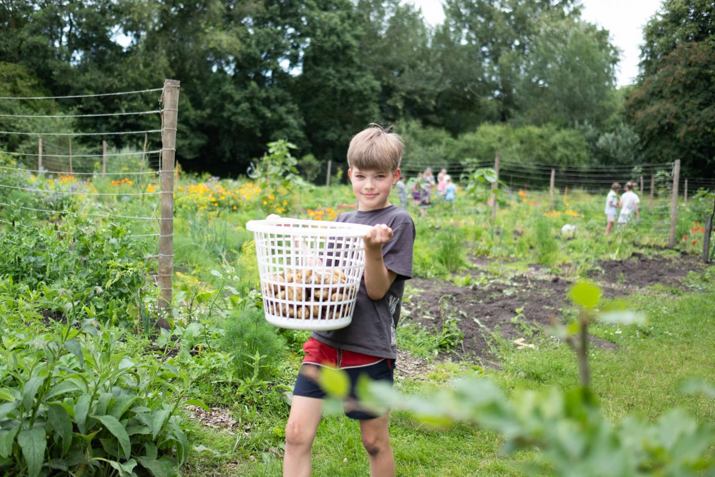 foto van kind met aardappeloogst