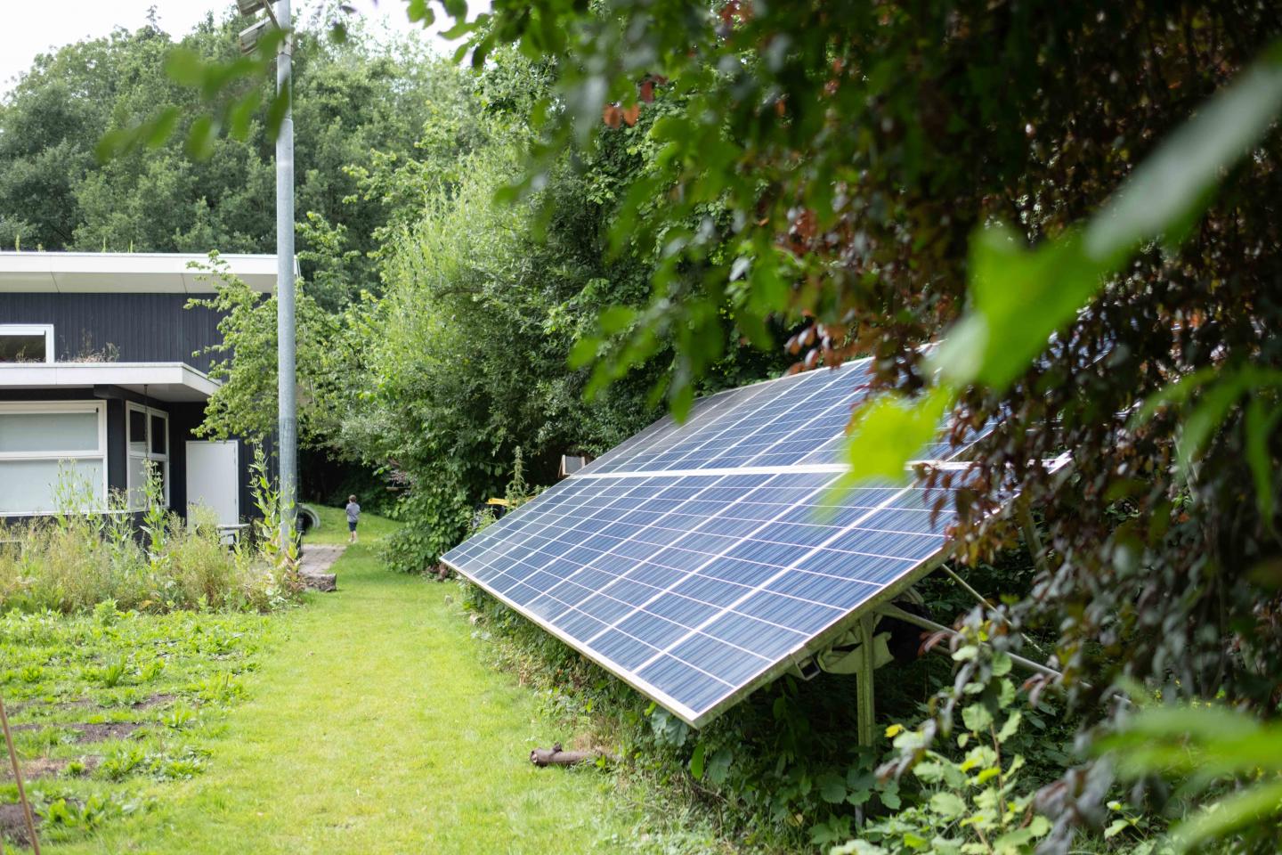 foto van zonnepanelen op de schooltuin