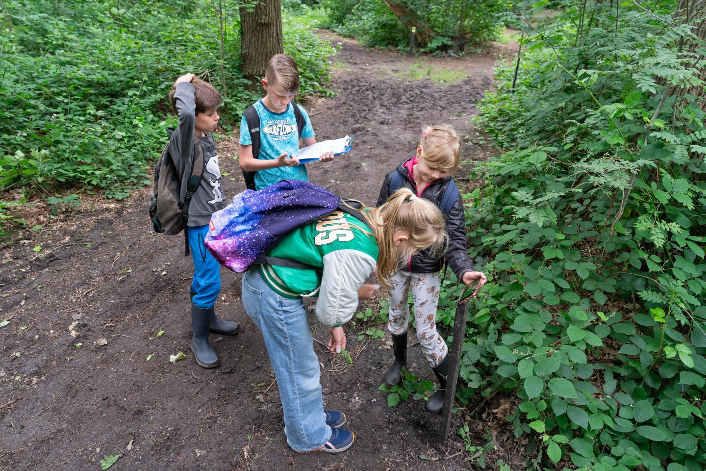 Foto van kinderen in Scharlakenbos