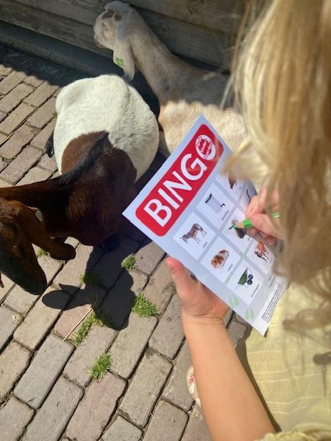foto van kind op de kinderboerderij met een bingokaart