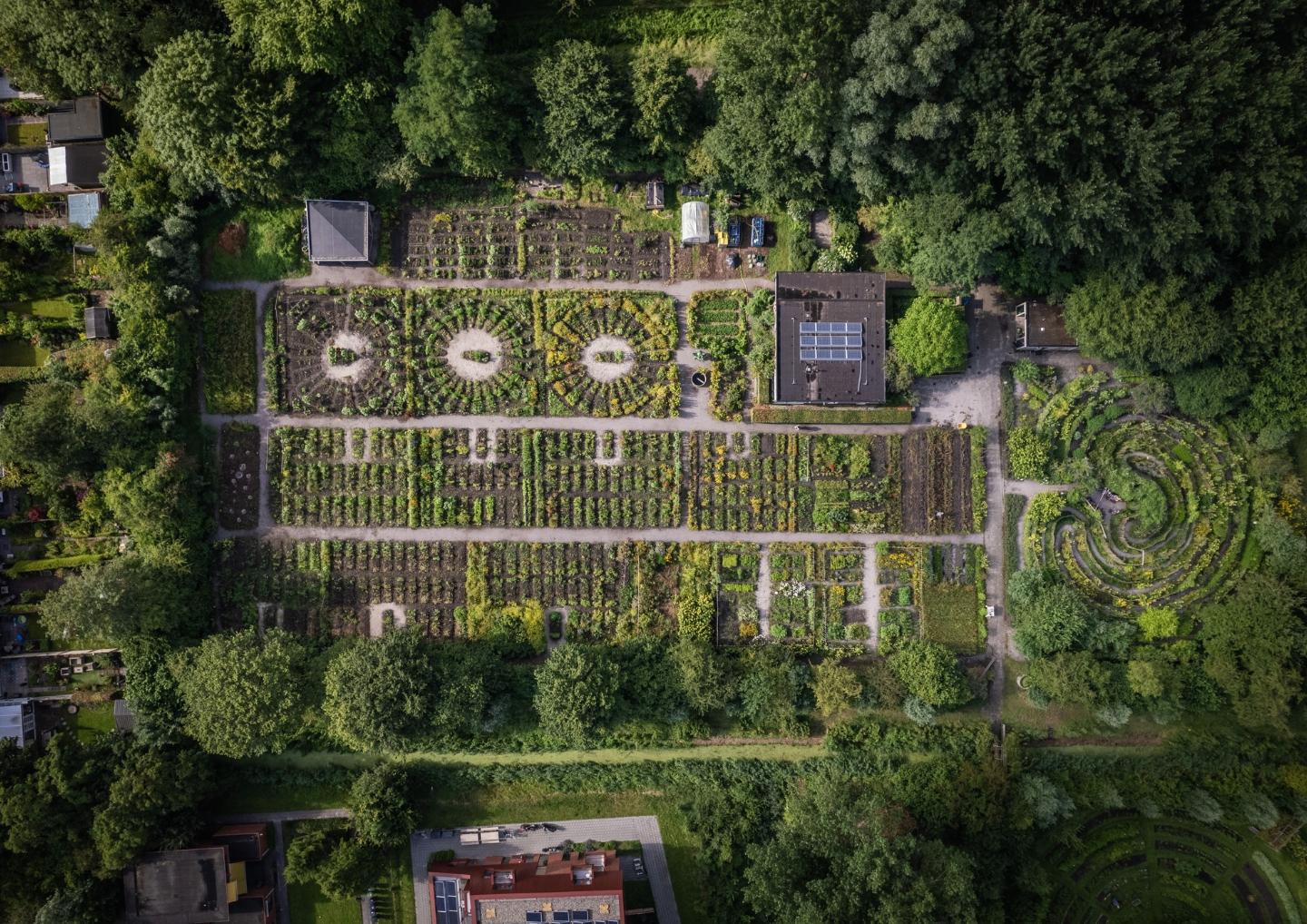 dronebeeld van de schooltuin