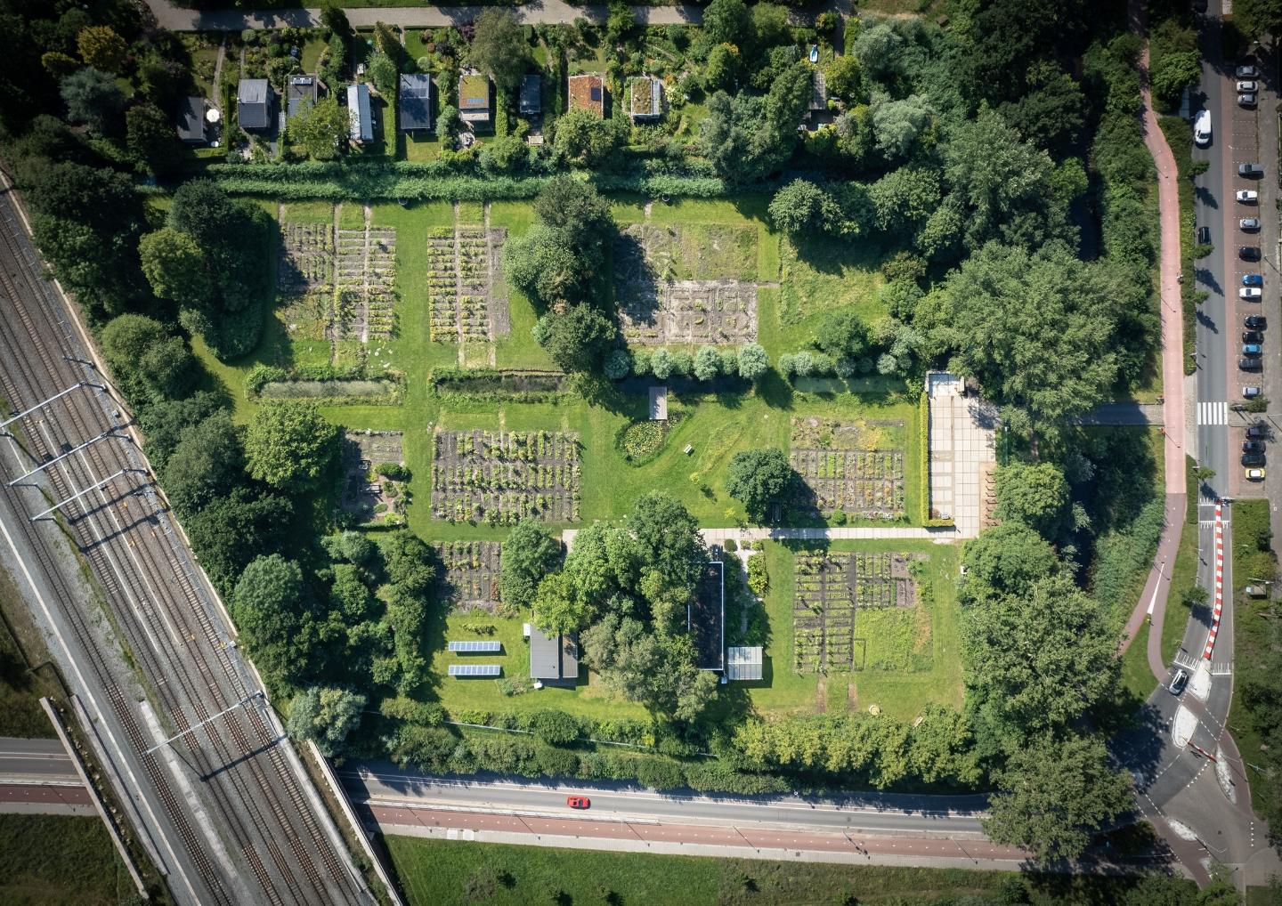 dronebeeld van schooltuin Helpman