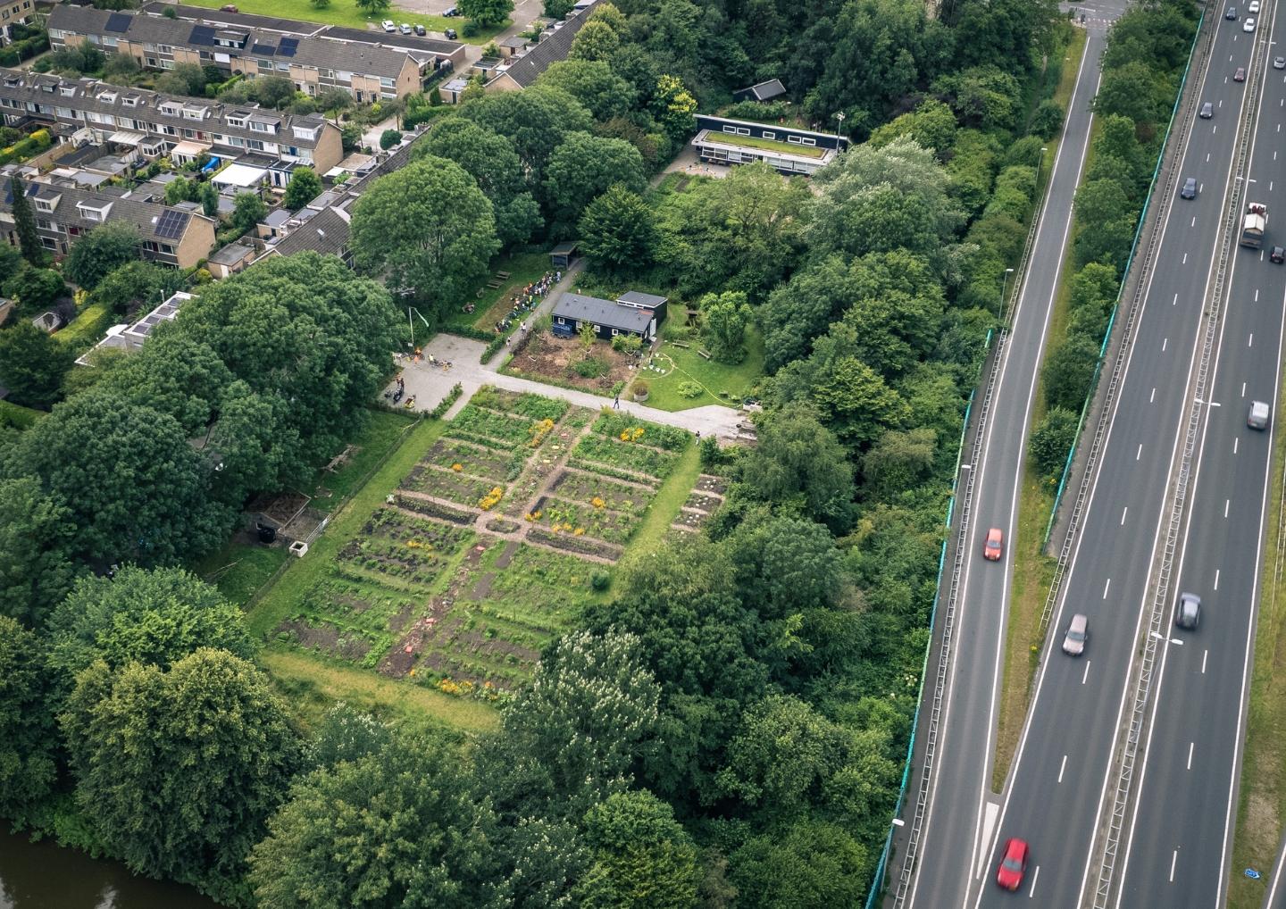 dronebeeld van schooltuin Paddepoel