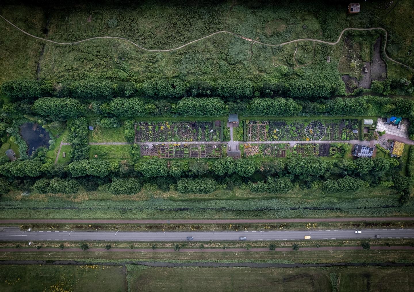 dronebeeld van schooltuin Westpark