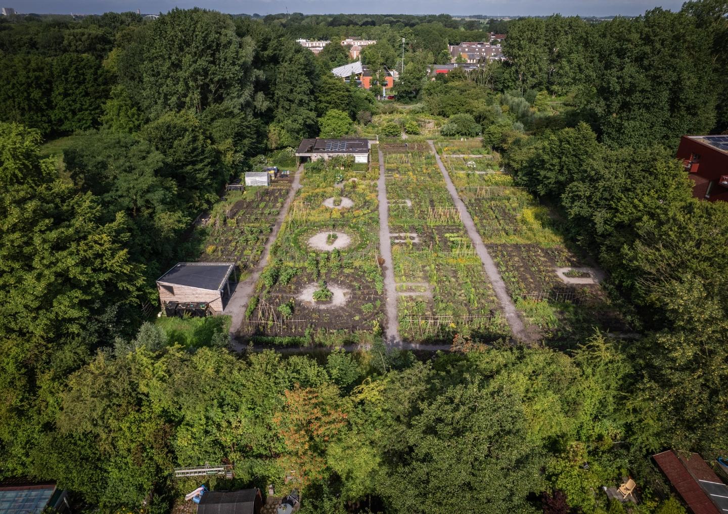 dronebeeld van schooltuin Beijum