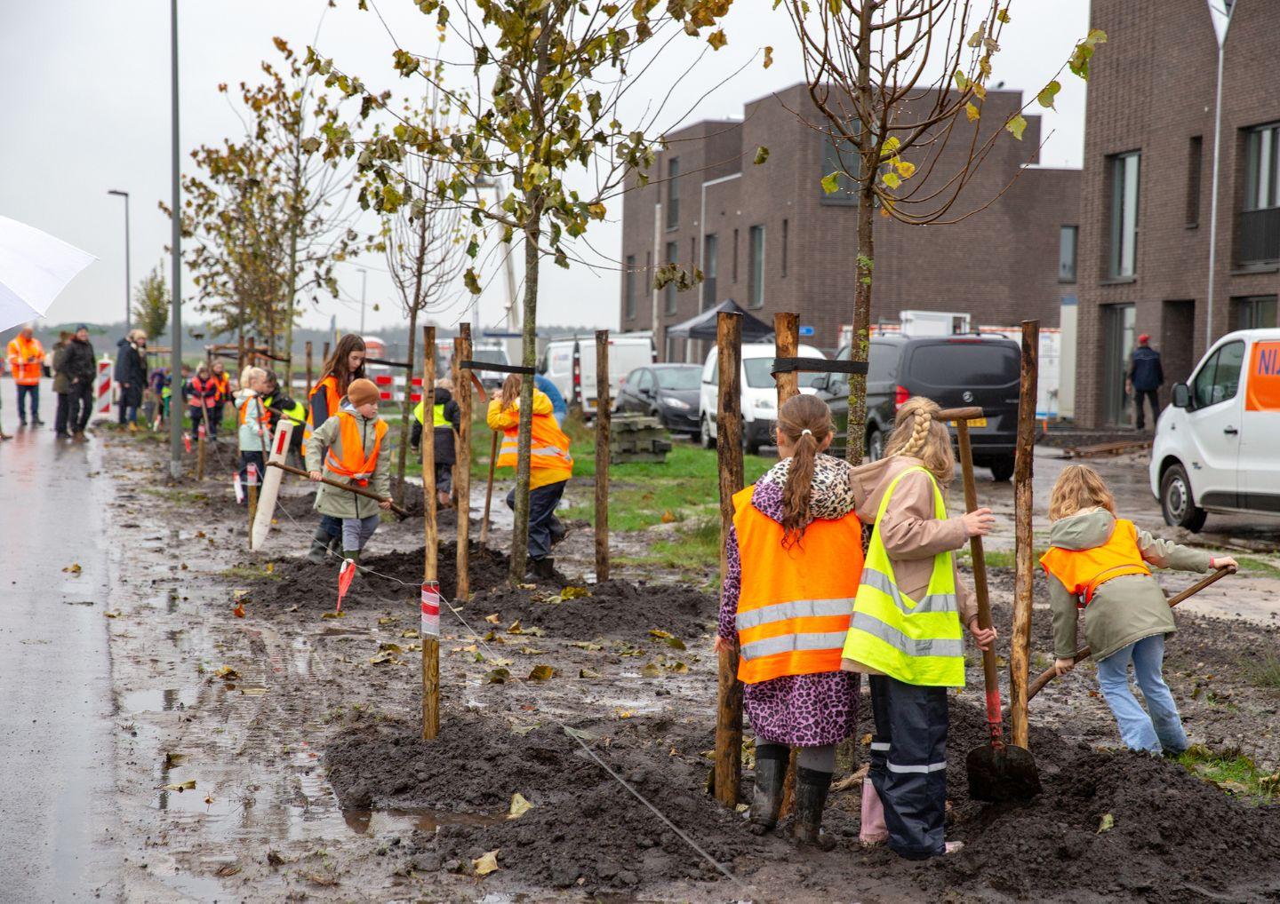 foto van boomfeestdag