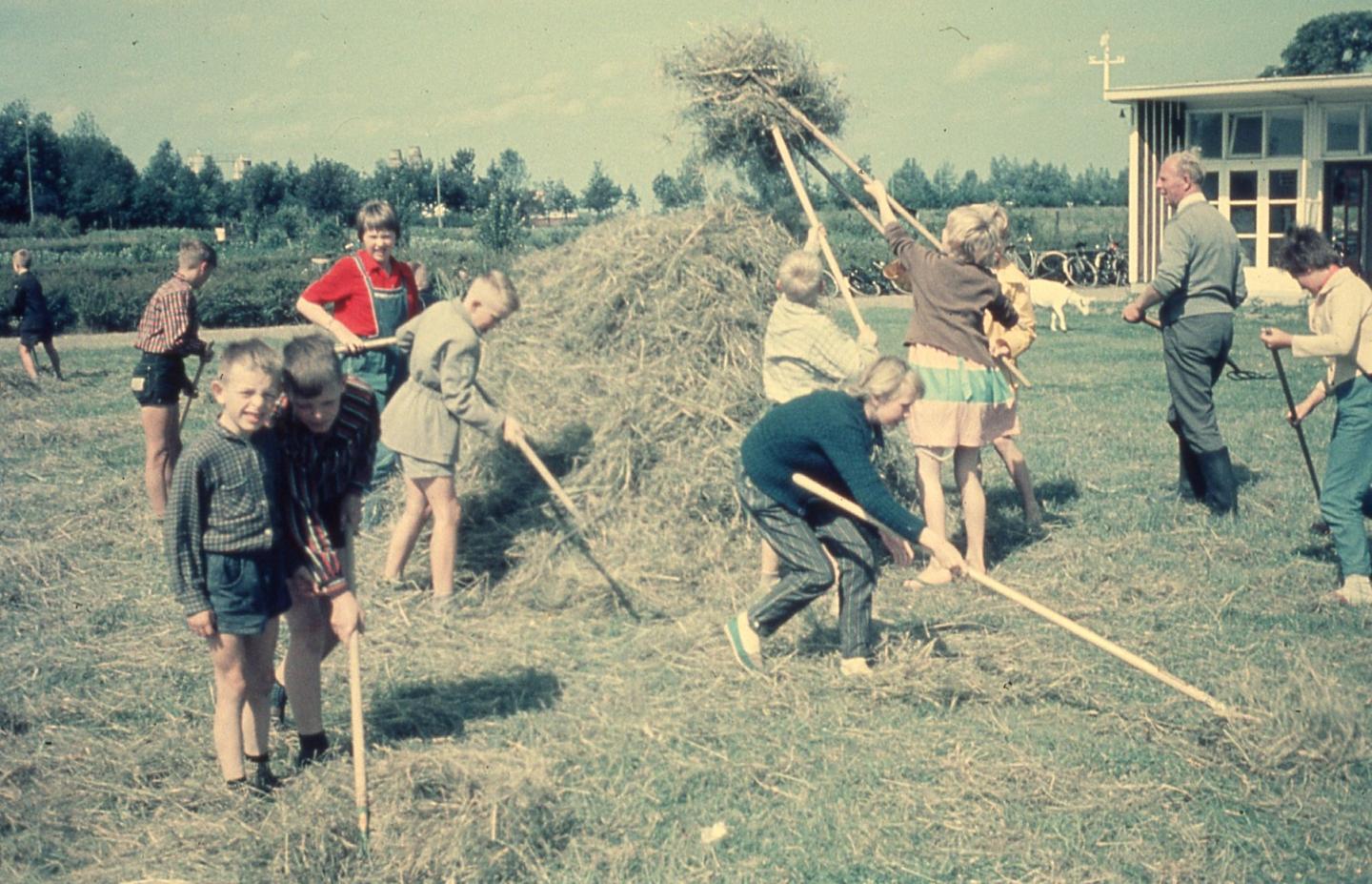 foto van schooltuin Noorderhoogebrug