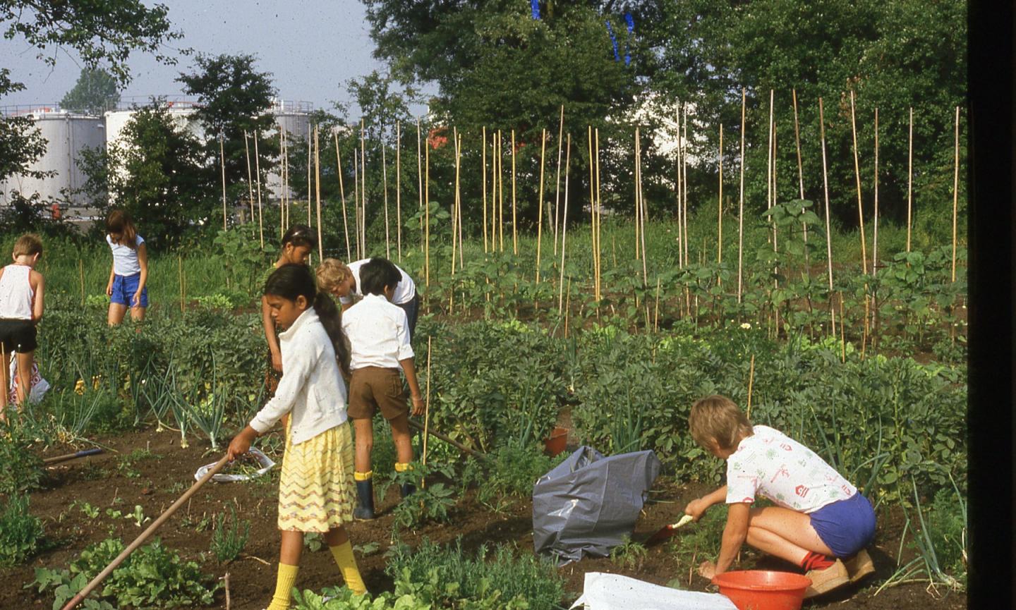 foto van schooltuin Noorderhoogebrug