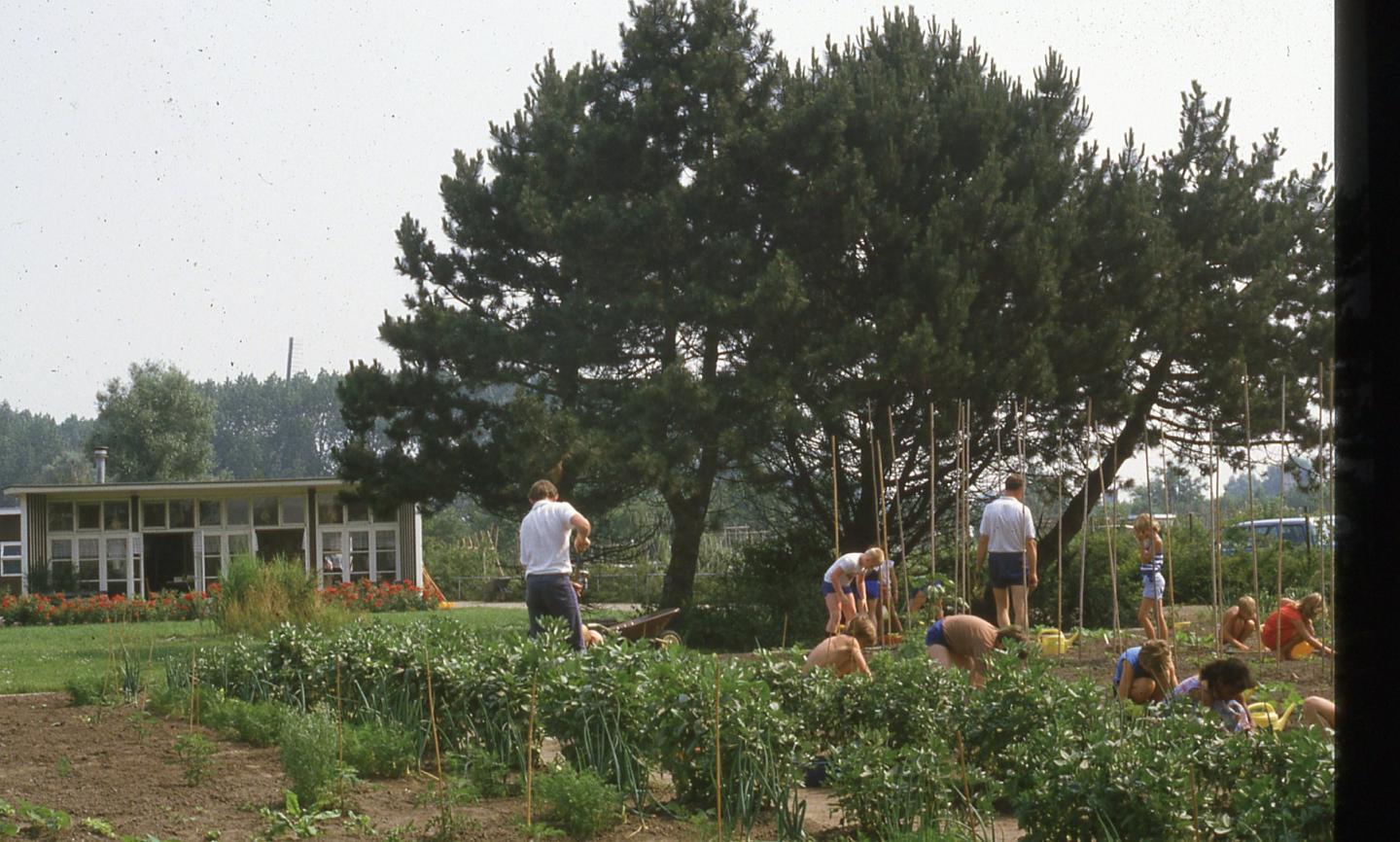 foto van schooltuin Noorderhoogebrug