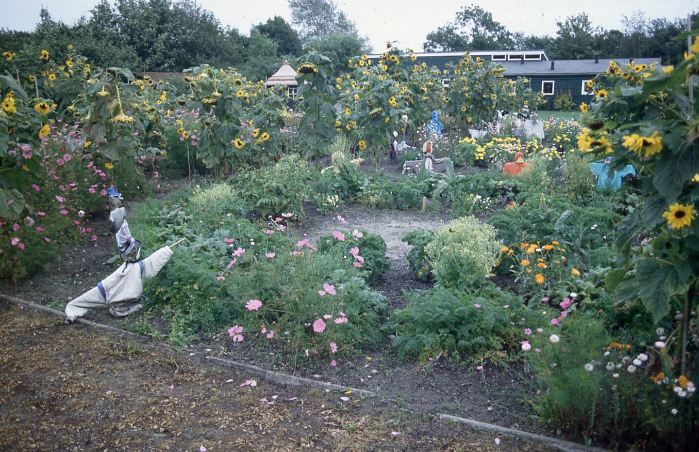 foto van schooltuin Helpman