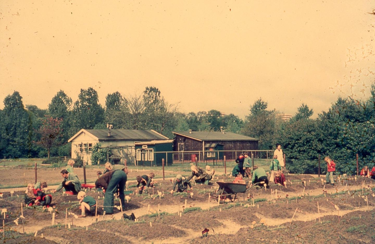 foto van schooltuin Helpman