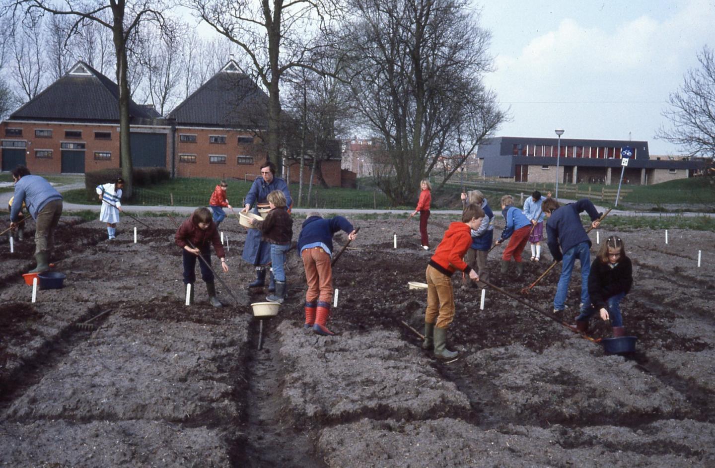 foto van schooltuin Beijum