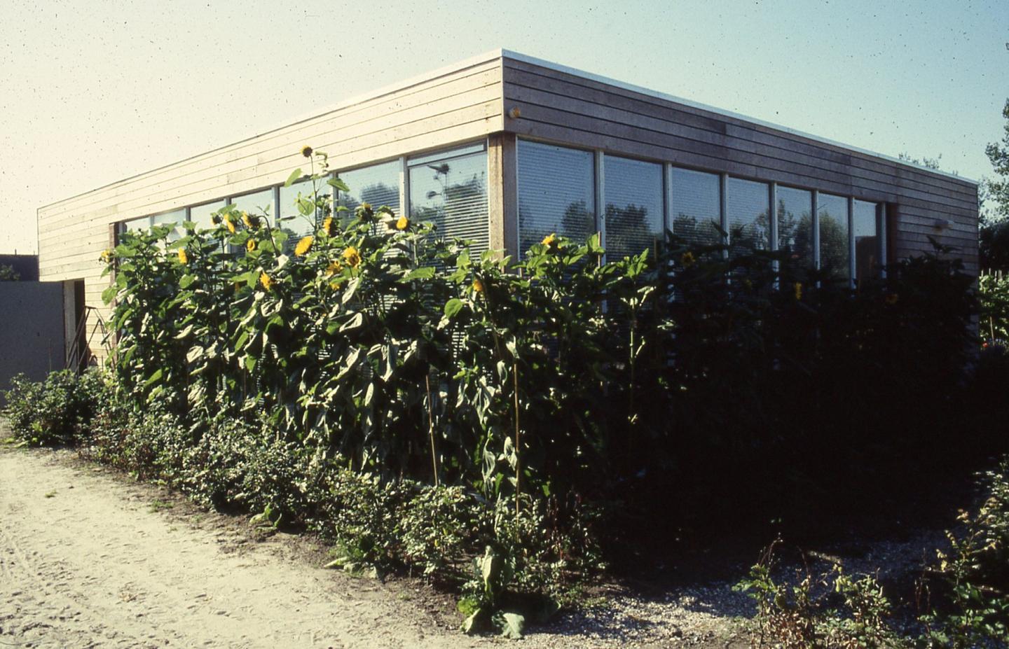 foto van schooltuin Beijum