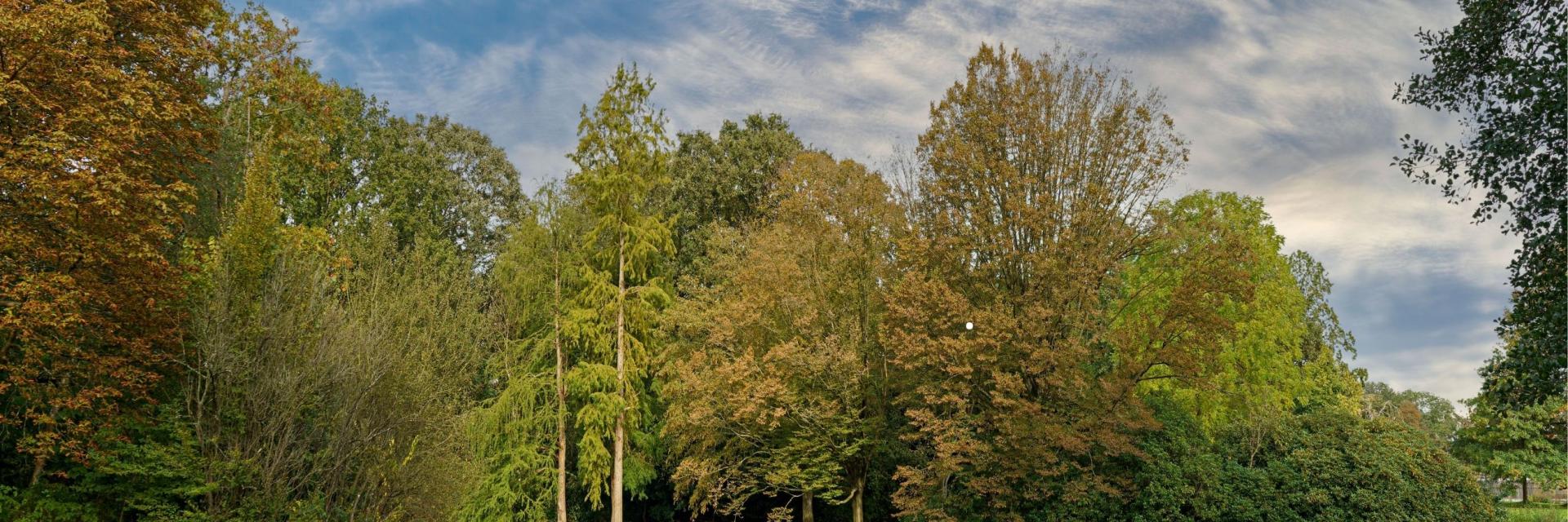 foto van stadspark Groningen