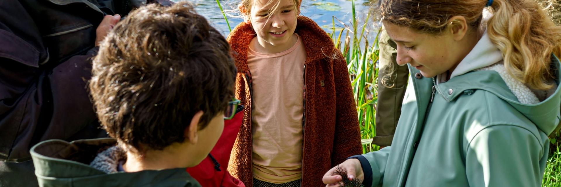 kinderen leren buiten